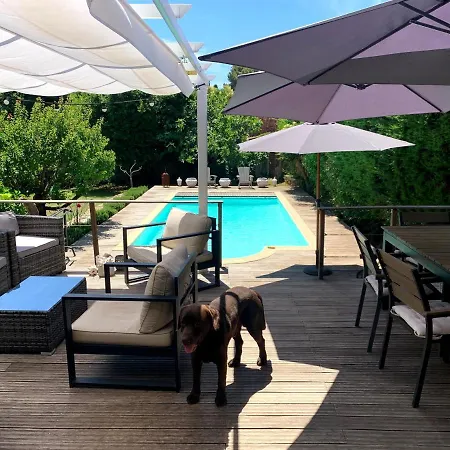 Villa Cannes Exclusive Haven Private Pool, Total Privacy & Southern Sun *